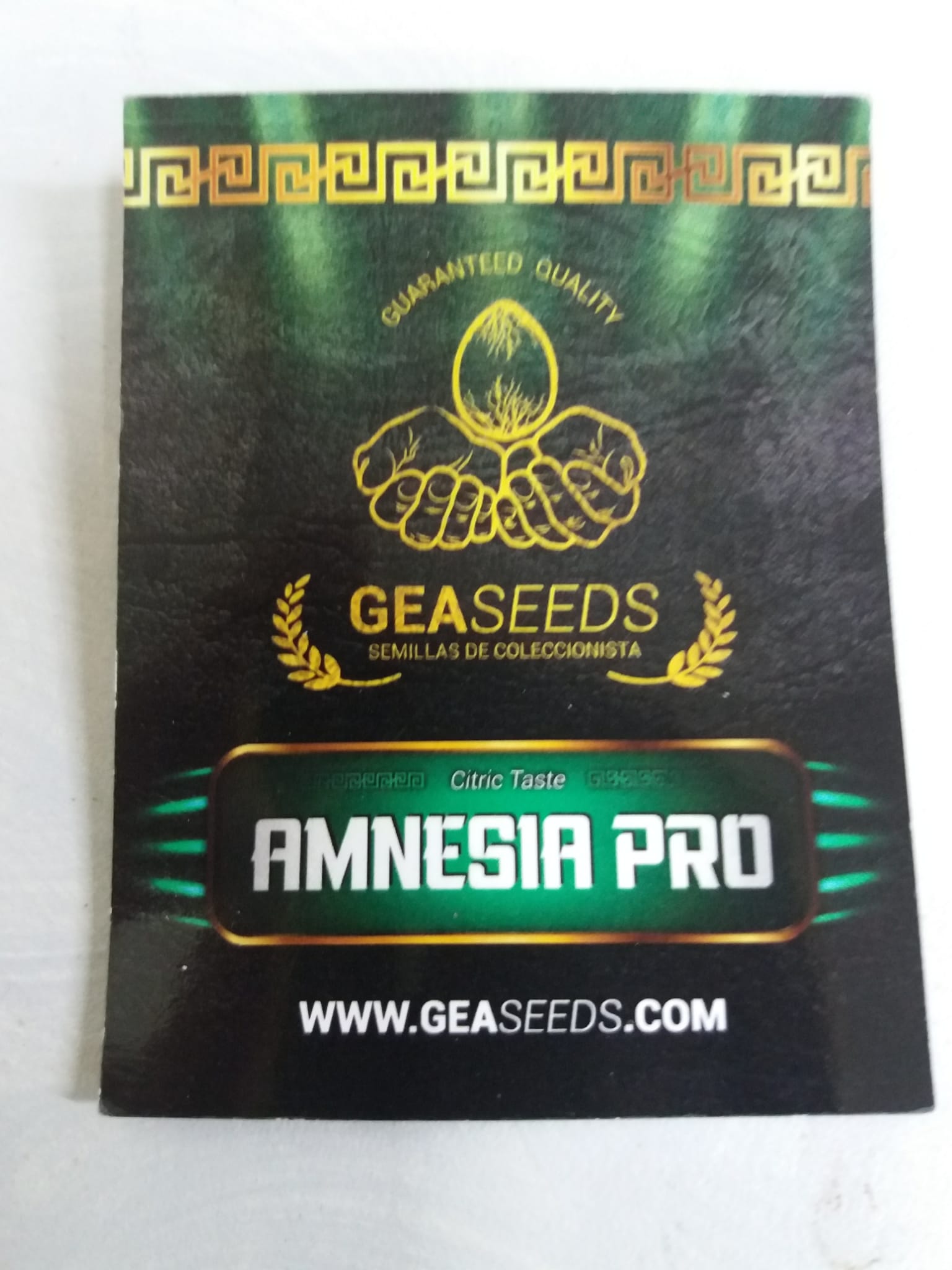 Gea Seeds Amnesia PRO